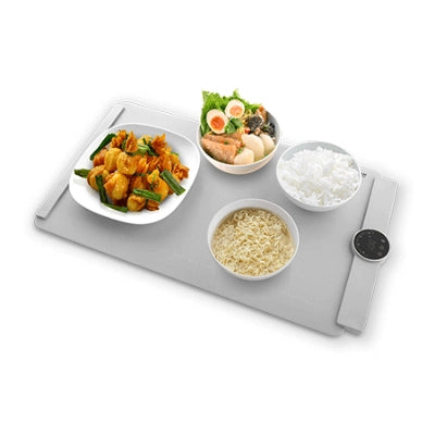 A010-01 GERMAN POOL FWM-125 Foldable Food Warming Mat