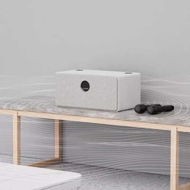 A013-06 🔊 2025 InAndon Hi-Fi Speaker with 2 Wireless Microphones (Perfect Companion for K90MAX Karaoke System)
