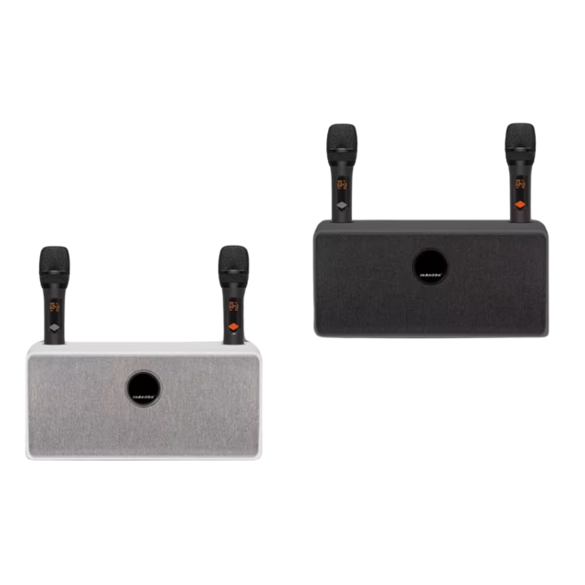 A013-06 🔊 2025 InAndon Hi-Fi Speaker with 2 Wireless Microphones (Perfect Companion for K90MAX Karaoke System)